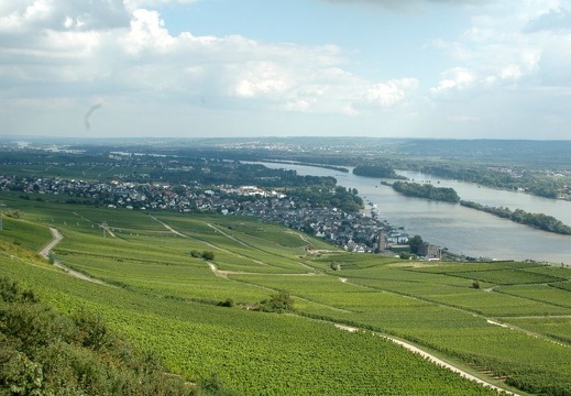 2010