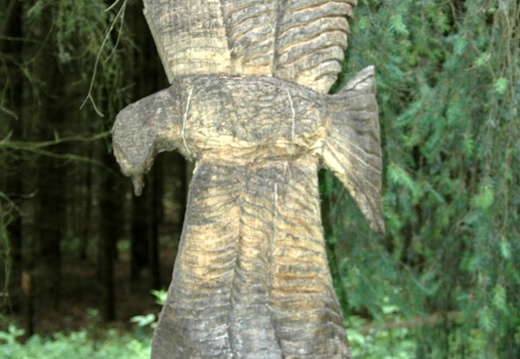 2011